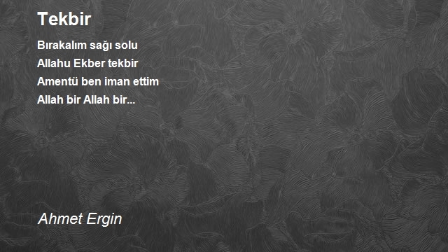 Ahmet Ergin