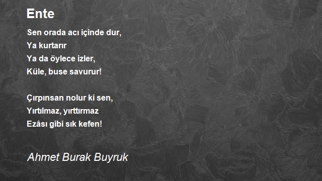 Ahmet Burak Buyruk