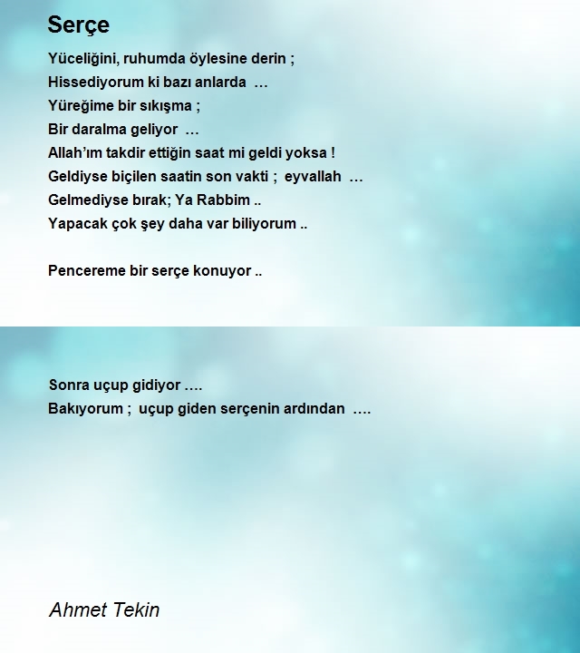 Ahmet Tekin