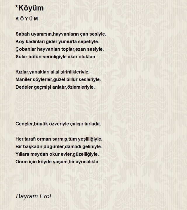 Bayram Erol