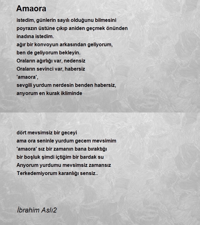 İbrahim Aslı2