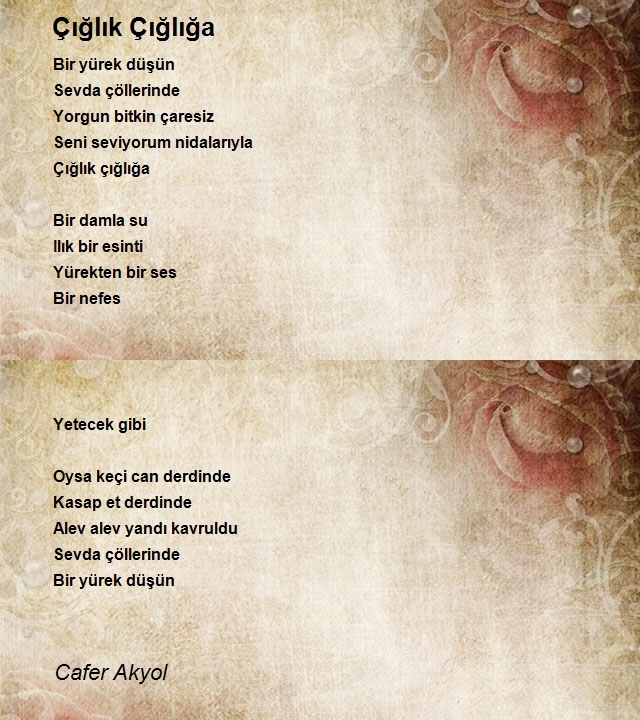 Cafer Akyol