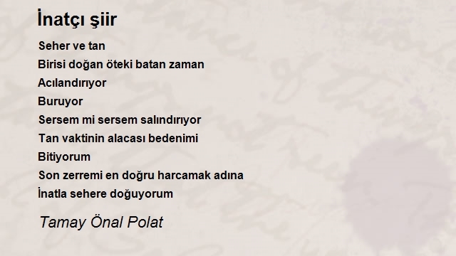 Tamay Önal Polat