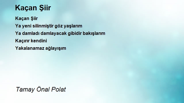 Tamay Önal Polat