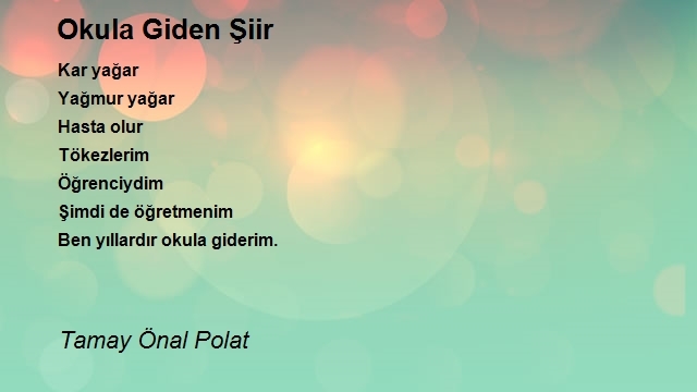 Tamay Önal Polat