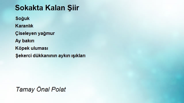 Tamay Önal Polat