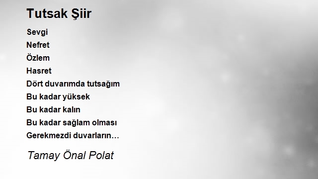 Tamay Önal Polat