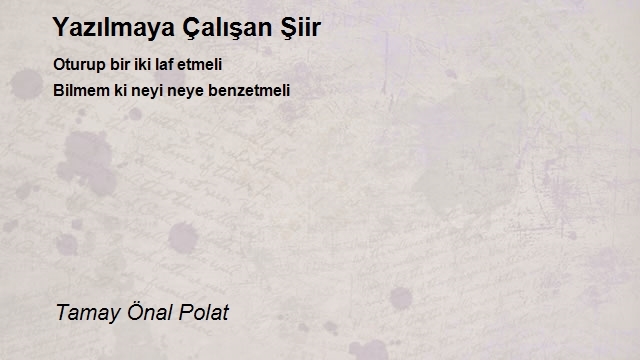 Tamay Önal Polat