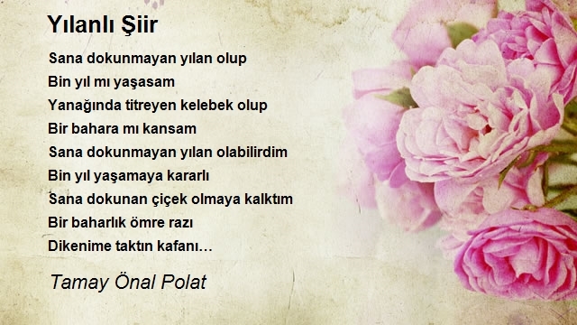 Tamay Önal Polat