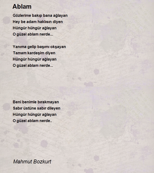 Mahmut Bozkurt