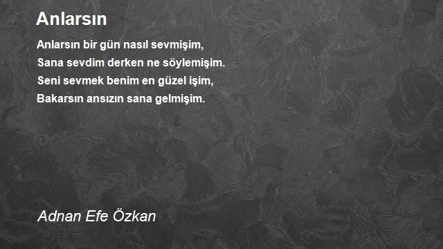 Adnan Efe Özkan