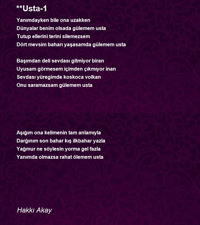 Hakkı Akay