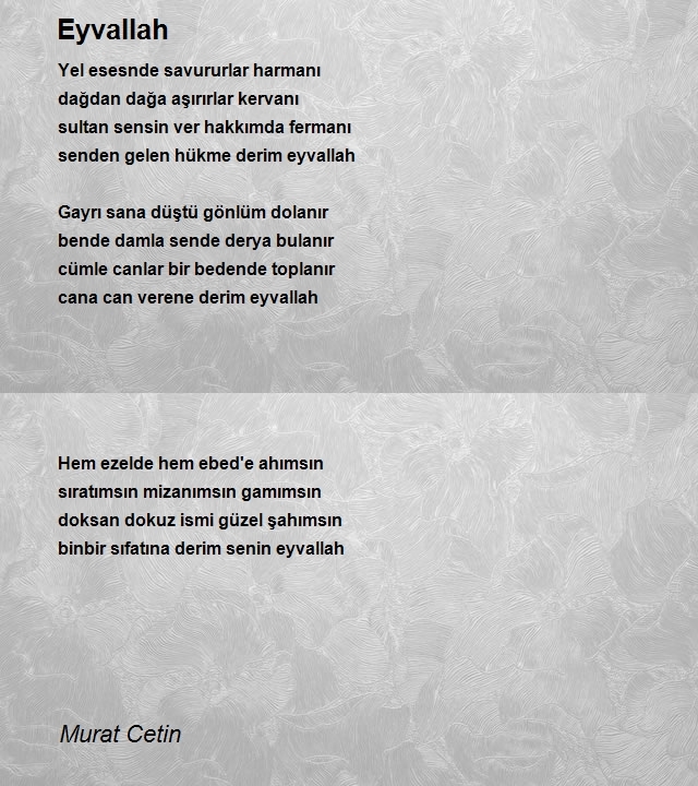 Murat Cetin