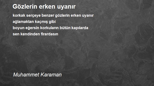 Muhammet Karaman