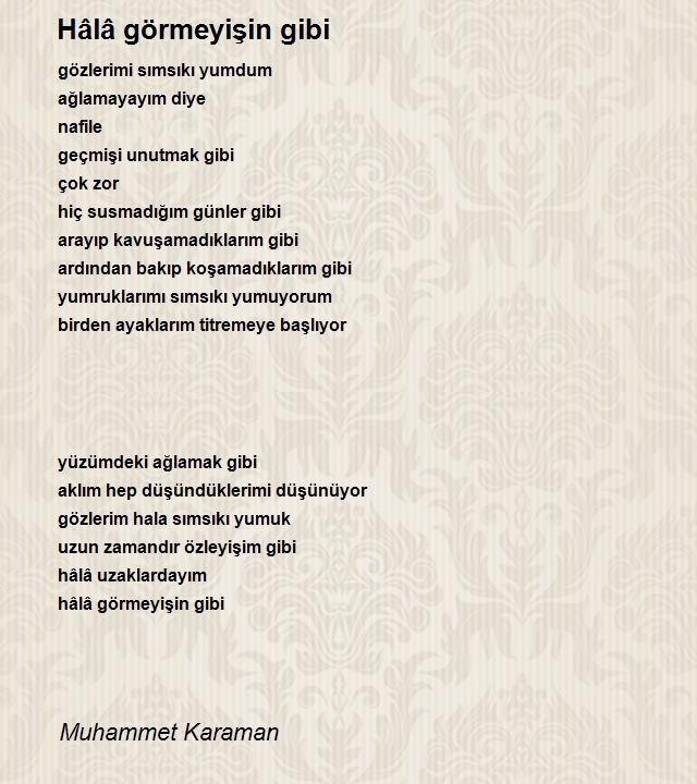 Muhammet Karaman