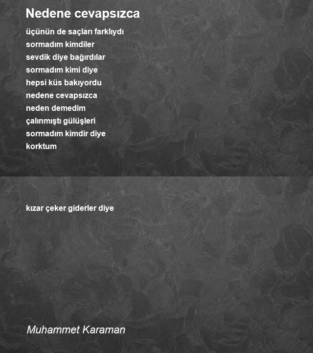 Muhammet Karaman