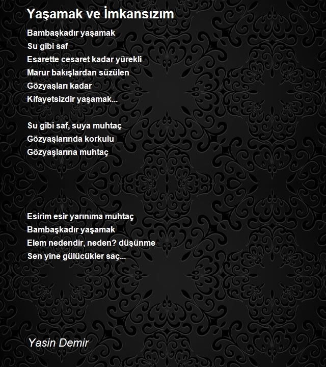 Yasin Demir