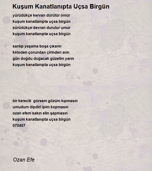 Ozan Efe