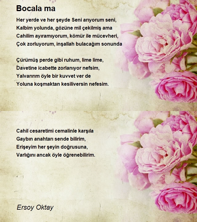 Ersoy Oktay