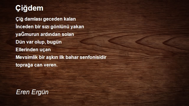 Eren Ergün