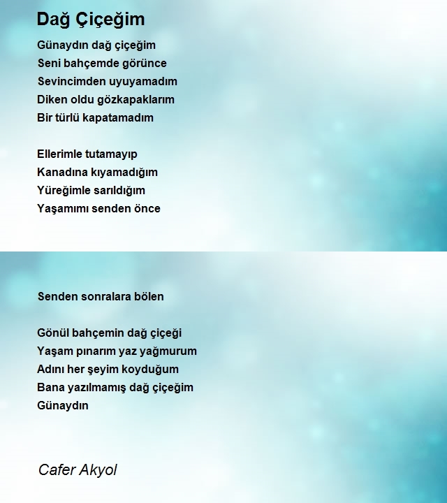 Cafer Akyol