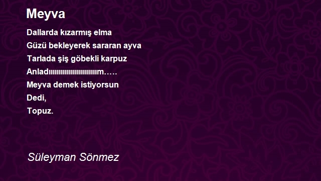 Süleyman Sönmez