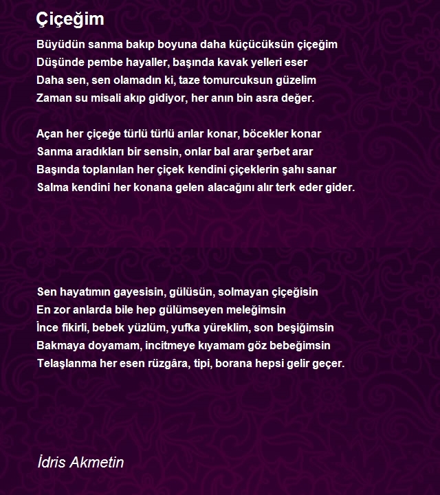 İdris Akmetin