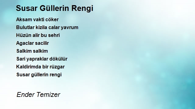 Ender Temizer