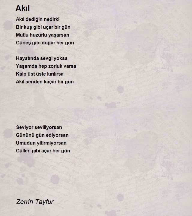 Zerrin Tayfur