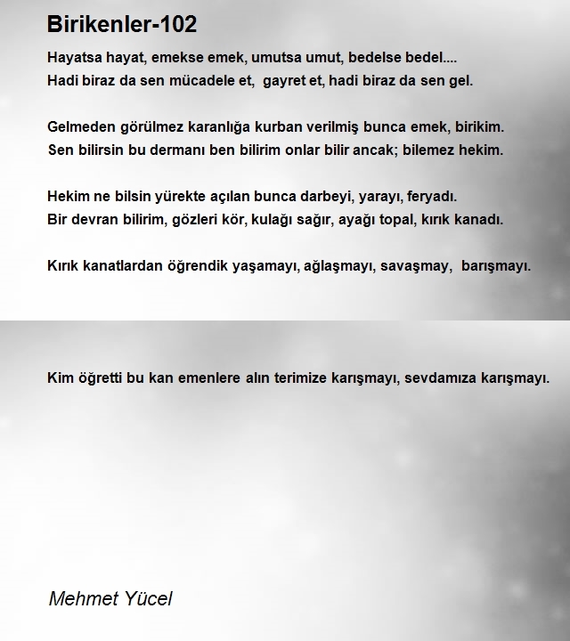 Mehmet Yücel