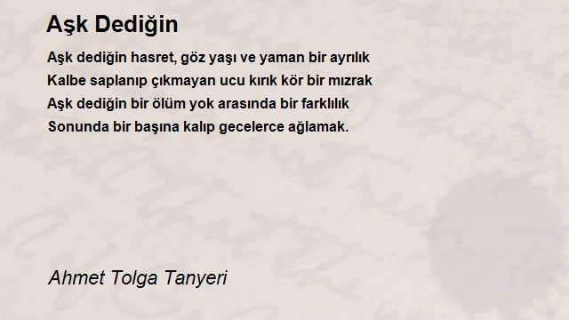 Ahmet Tolga Tanyeri