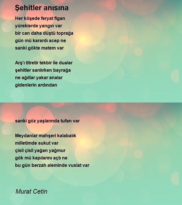 Murat Cetin