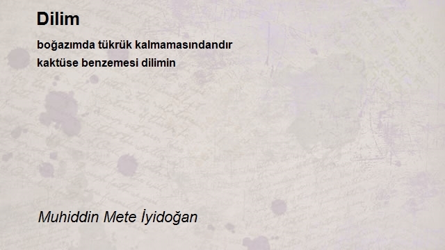 Muhiddin Mete İyidoğan