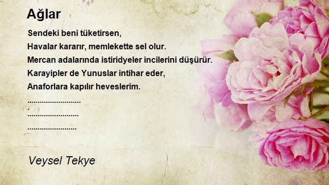 Veysel Tekye