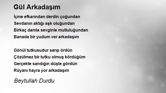 Beytullah Durdu