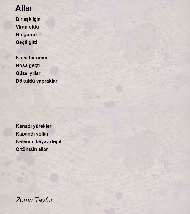 Zerrin Tayfur