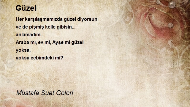 Mustafa Suat Geleri