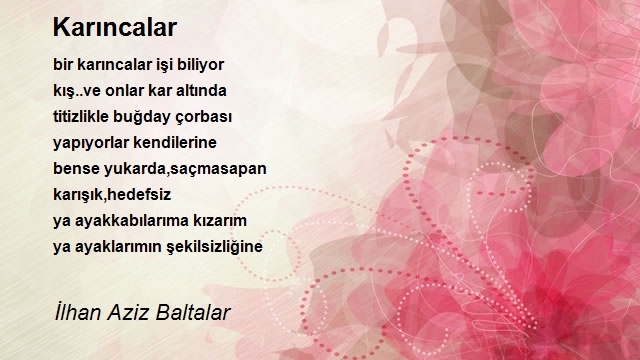 İlhan Aziz Baltalar