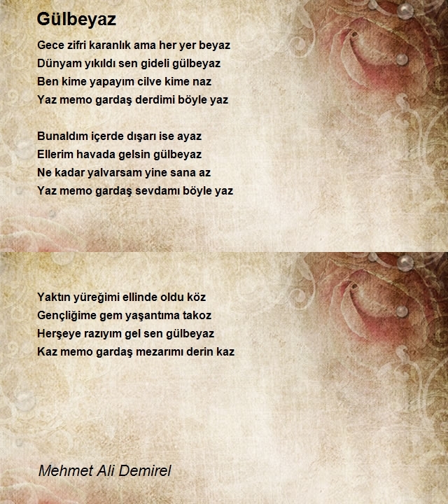 Mehmet Ali Demirel