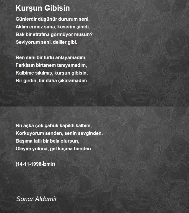 Soner Aldemir