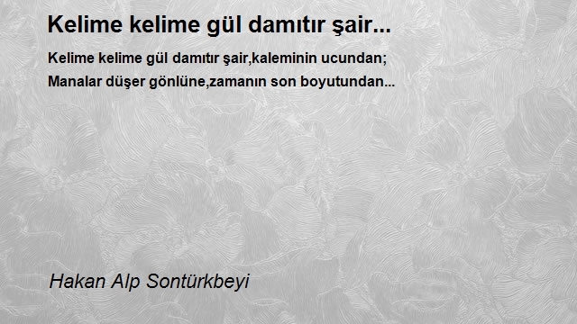 Hakan Alp Sontürkbeyi