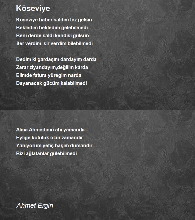 Ahmet Ergin