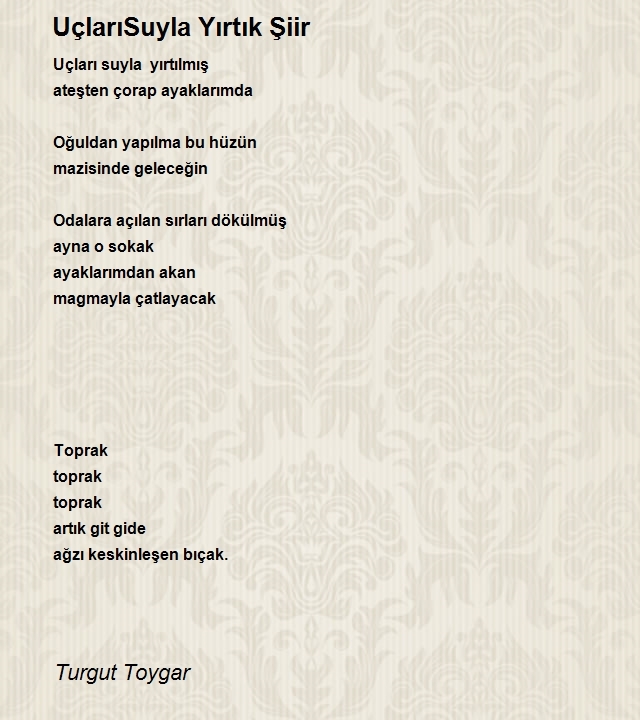 Turgut Toygar