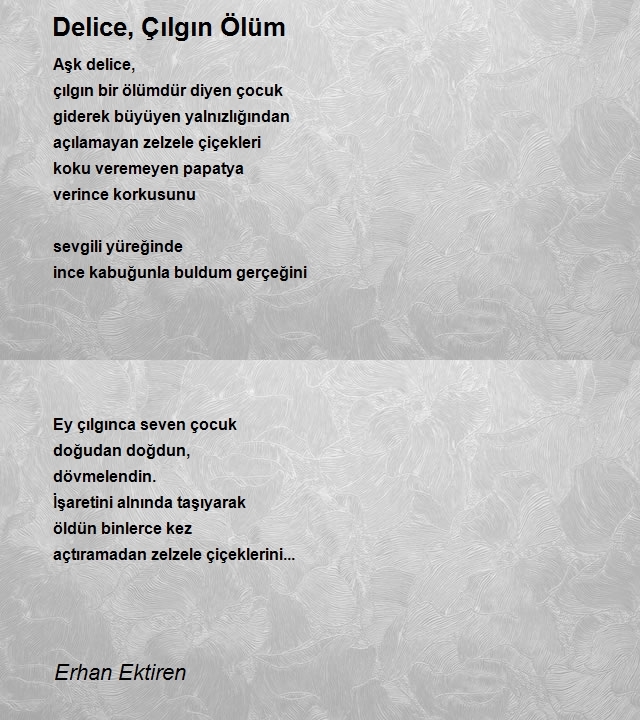 Erhan Ektiren