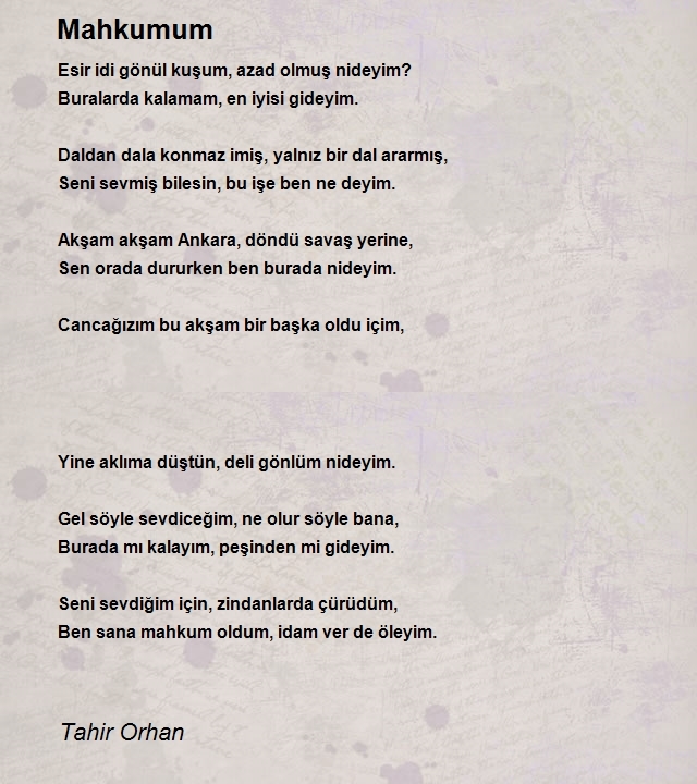 Tahir Orhan