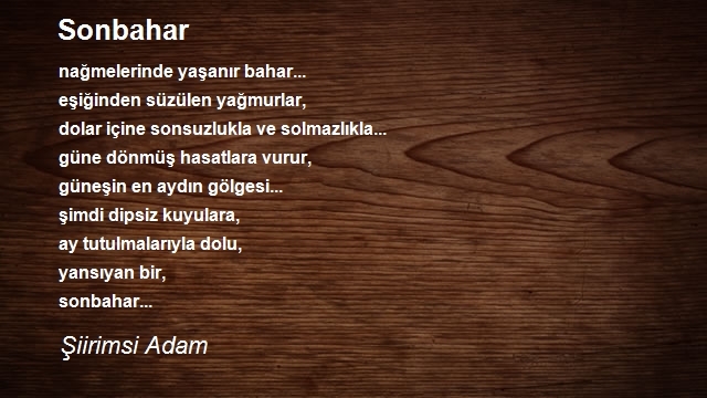 Şiirimsi Adam