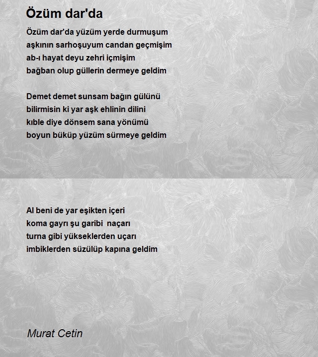 Murat Cetin