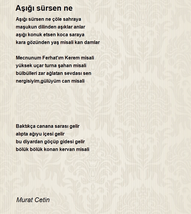 Murat Cetin