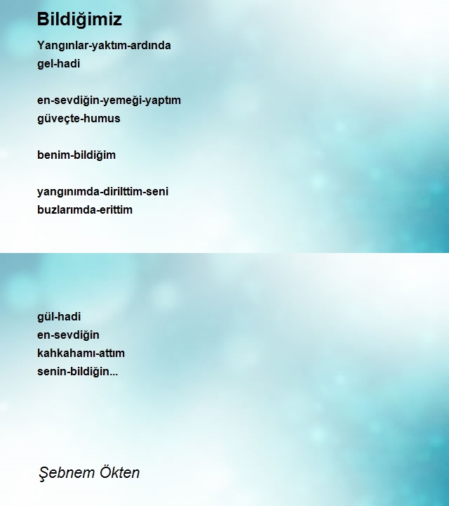 Şebnem Ökten