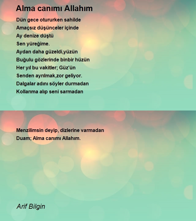 Arif Bilgin